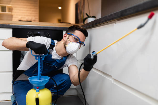 Best Residential Pest Control  in Rapid Valley, SD