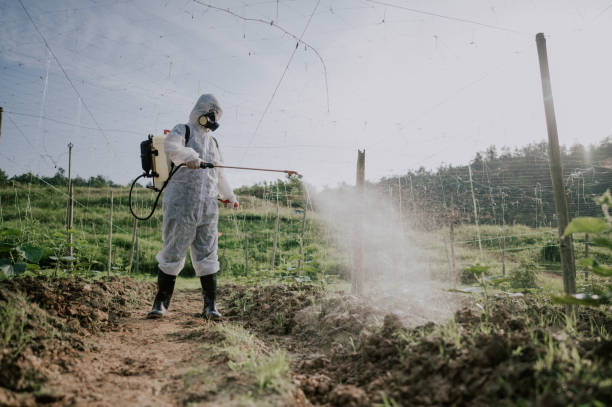 Best Commercial Pest Control Services  in Rapid Valley, SD