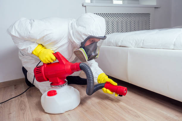 Best Best Pest Control Companies  in Rapid Valley, SD