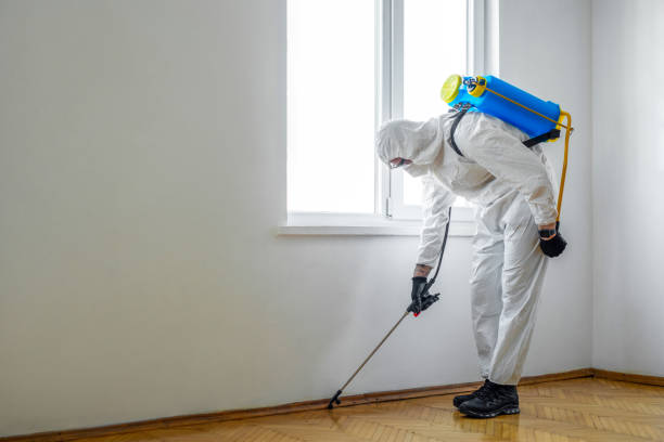 Best Local Pest Control Services  in Rapid Valley, SD