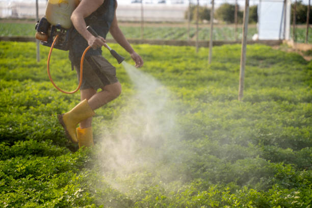 Best Pest Control Near Me  in Rapid Valley, SD