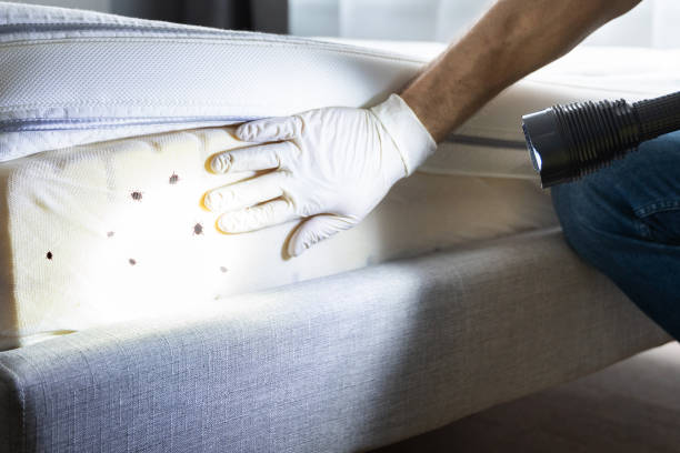 Best Pest Inspection Near Me  in Rapid Valley, SD