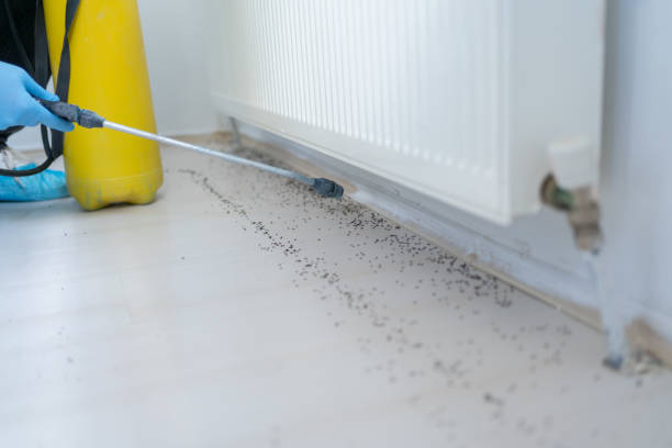 Best Commercial Pest Control Services  in Rapid Valley, SD
